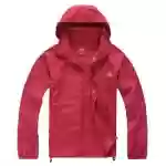 بادگیر مٌشتی نورث فیس – The North Face