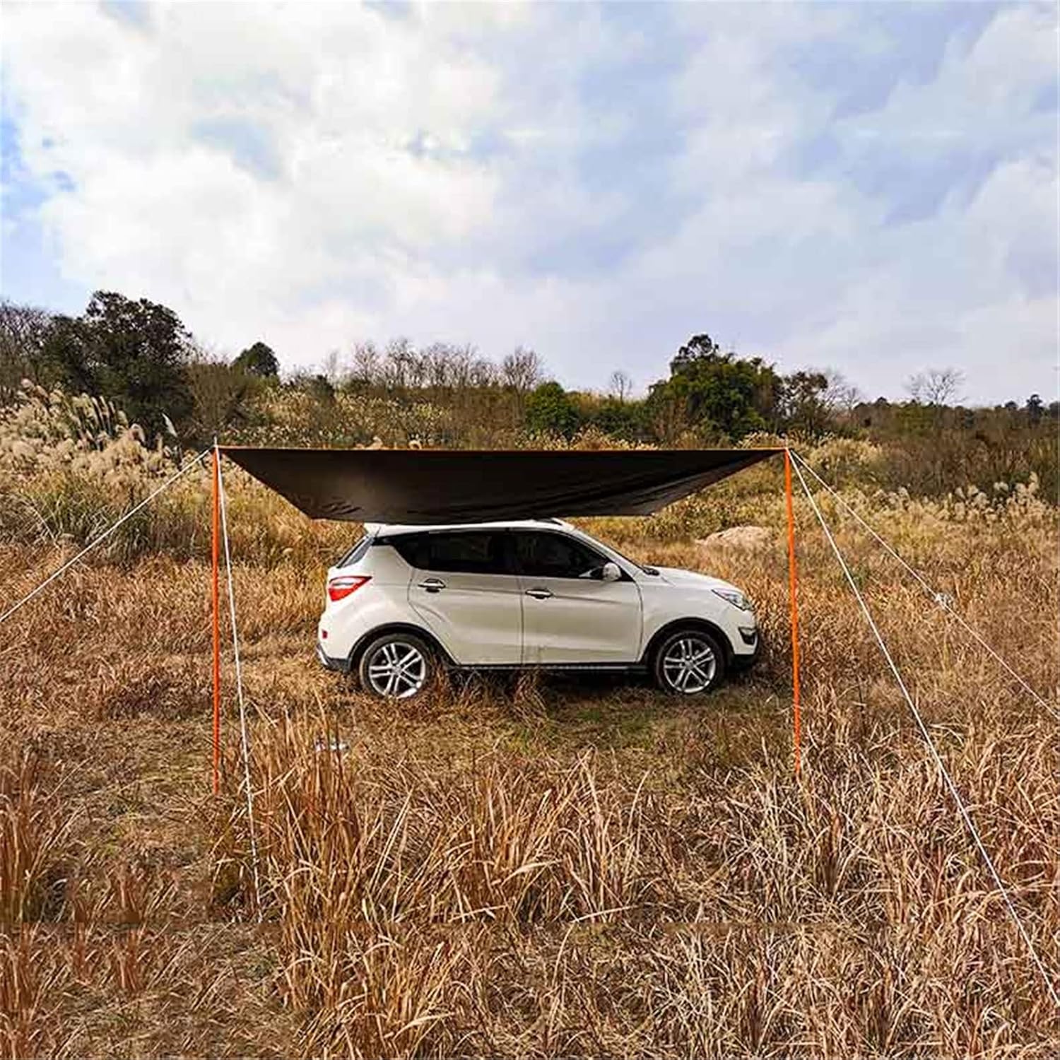 81m68BuSwYL._AC_SL1500_