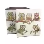 باکس صندلی تاشو طرح جغد