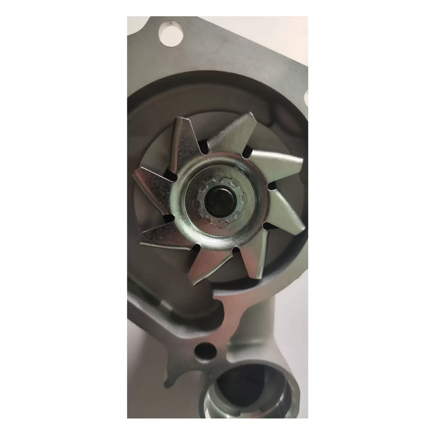 wp1